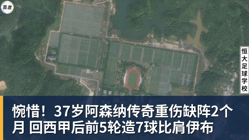 惋惜！37岁阿森纳传奇重伤缺阵2个月 回西甲后前5轮造7球比肩伊布