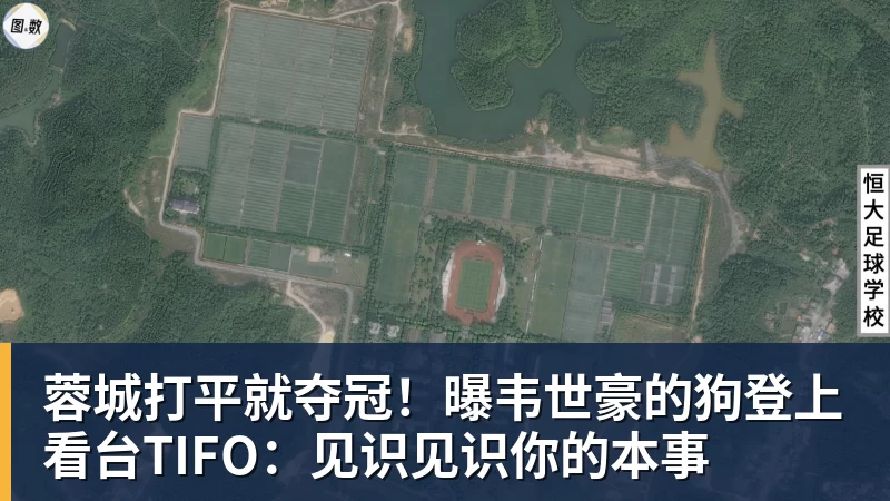 蓉城打平就夺冠！曝韦世豪的狗登上看台TIFO：见识见识你的本事