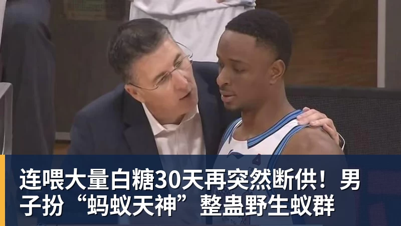 连喂大量白糖30天再突然断供！男子扮“蚂蚁天神”整蛊野生蚁群